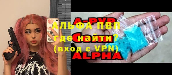 дмт Пересвет