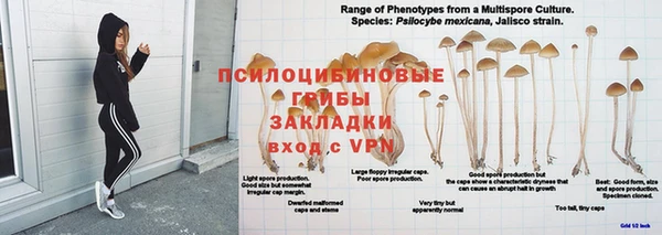 apvp Алзамай