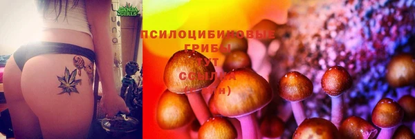соль ск Алексеевка