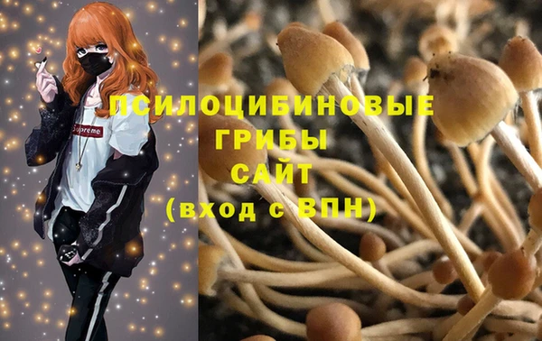 прущий лед Алексин