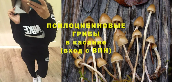 дмт Пересвет