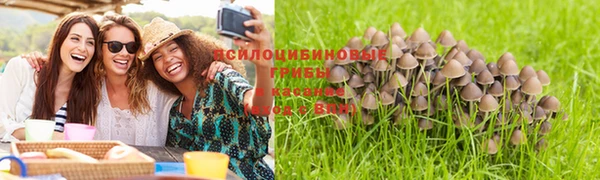 твердый Пестово