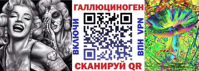 цена наркотик  mega   shop какой сайт  Курчалой  Галлюциногенные грибы Magic Shrooms 
